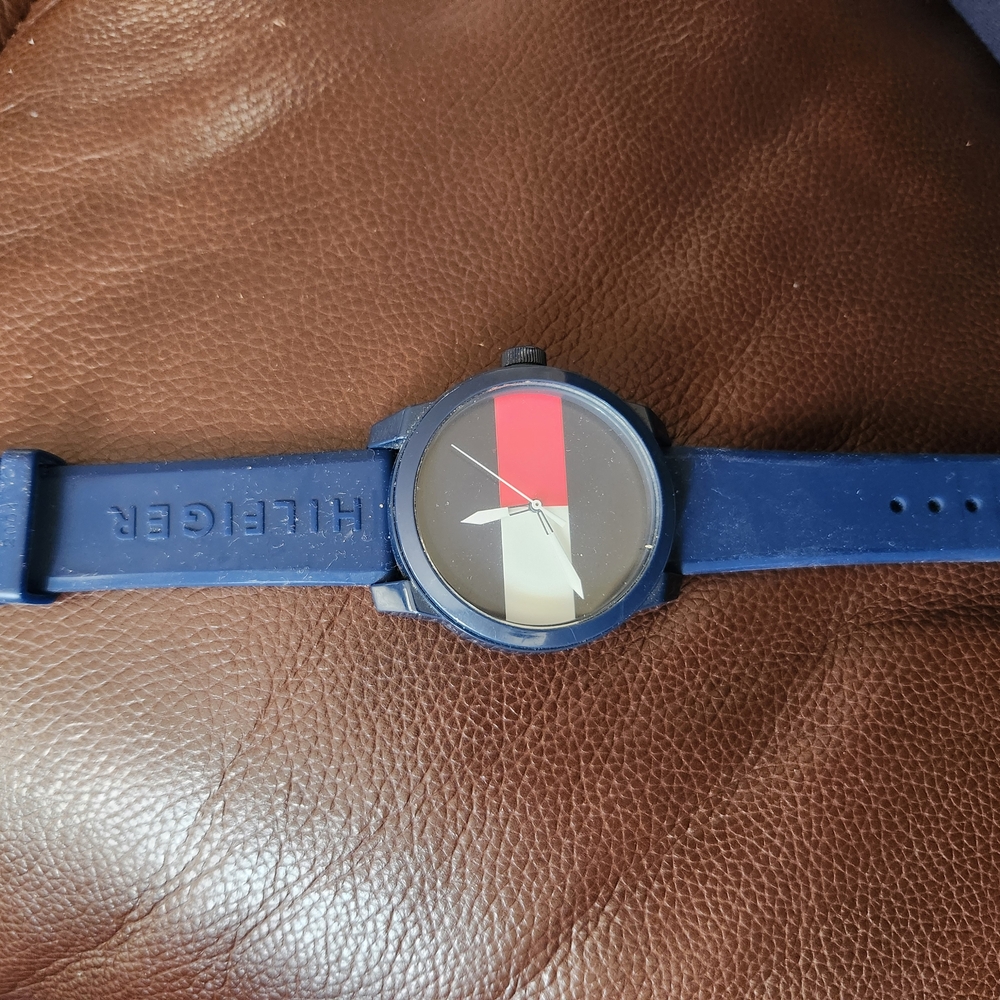 Tommy Hilfiger Blue and Red Swimwear